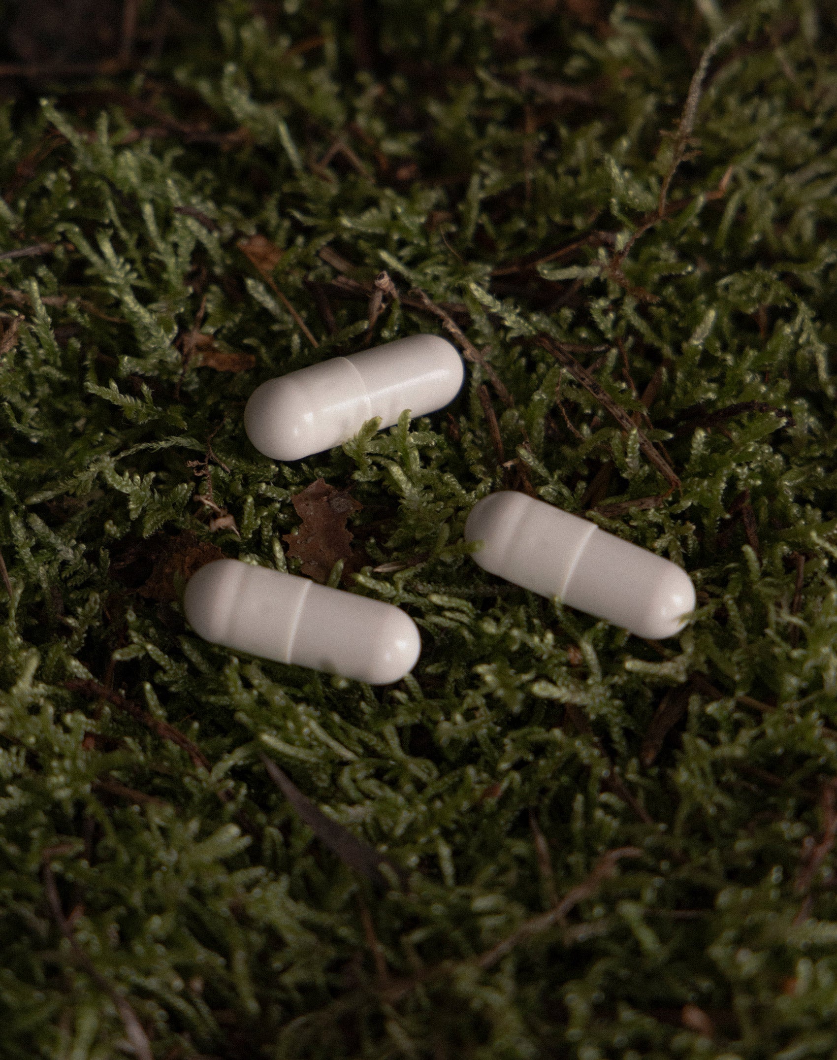 PRE+PROBIOTIC
